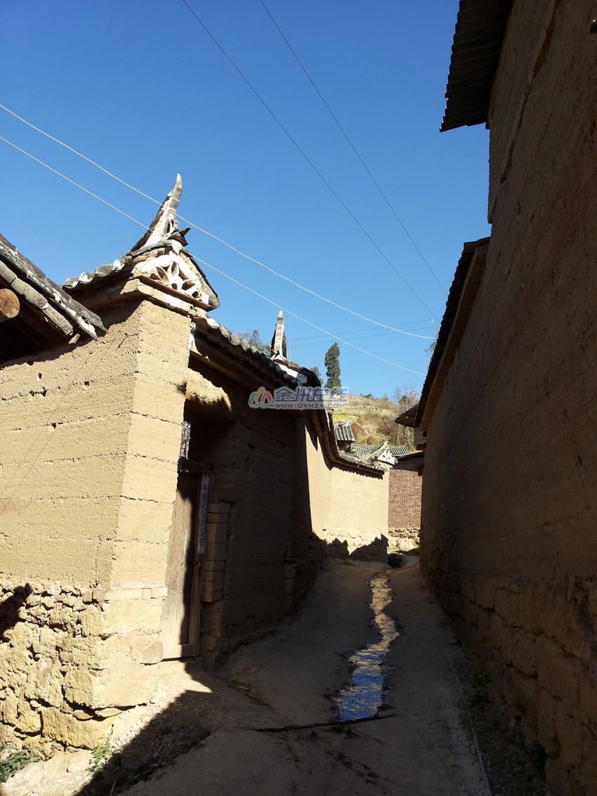Moji_20140221_1043.jpg