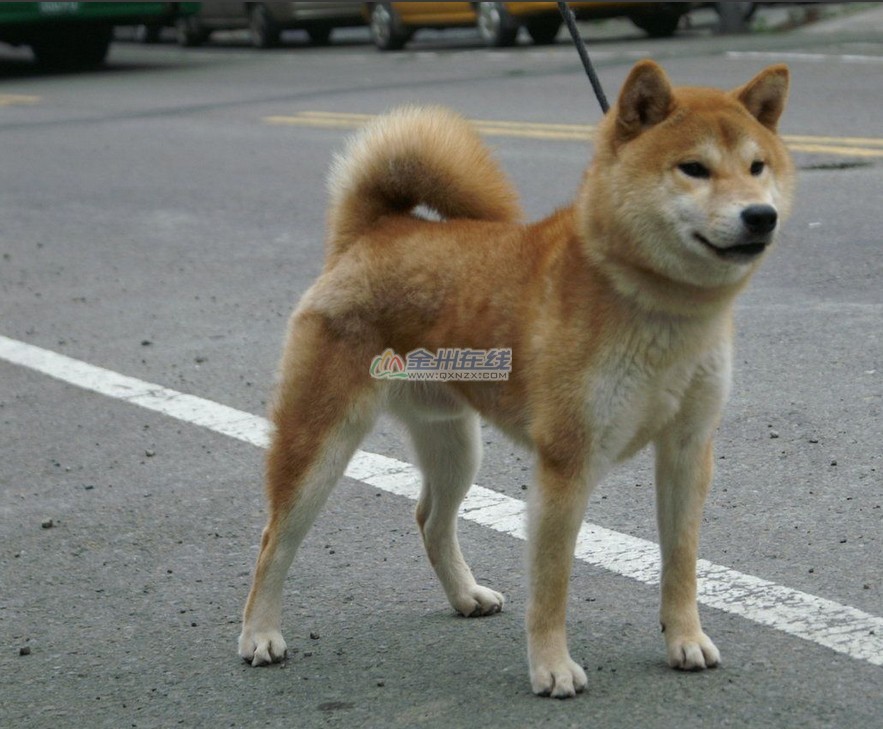 QQͼ20140505102153.jpg