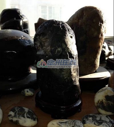 QQͼƬ20140507175528.jpg
