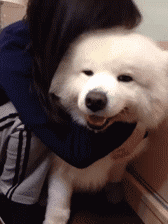 7db399f9jw1egdm7ykad5g204o0681kx.gif