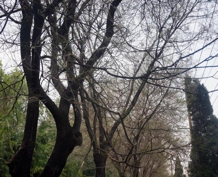 QQͼ20140515150455.jpg