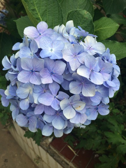 QQͼ20140528160750.jpg
