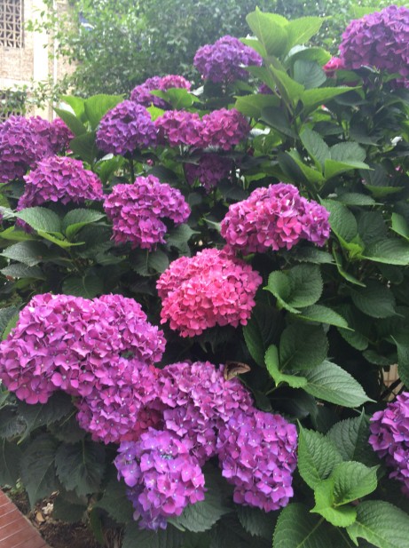 QQͼ20140528160741.jpg