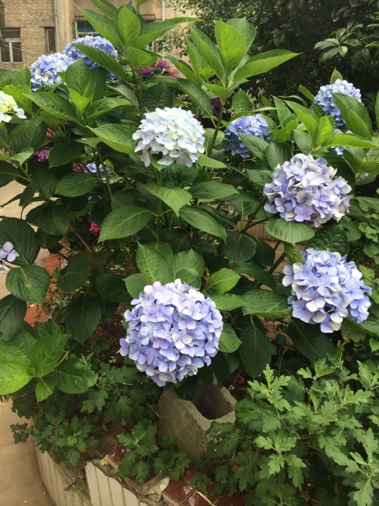 QQͼ20140528160718.jpg