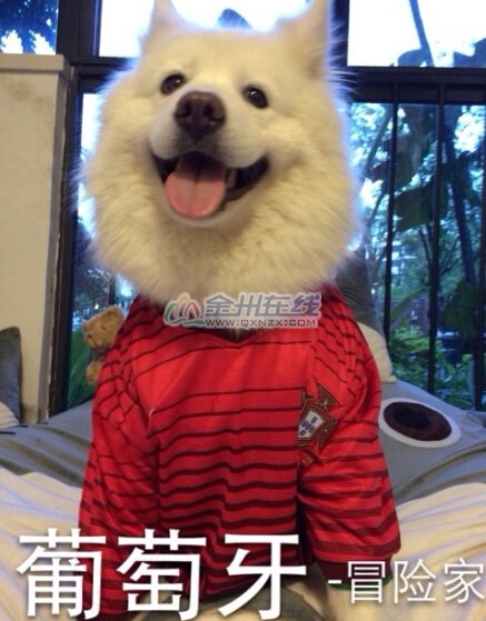 QQͼ20140605092310.jpg