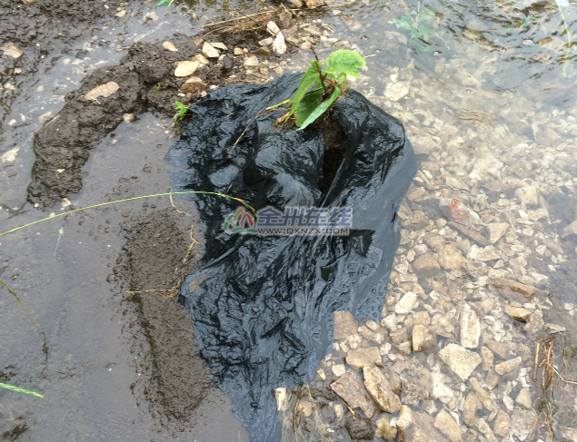 QQͼ20140610184436.png