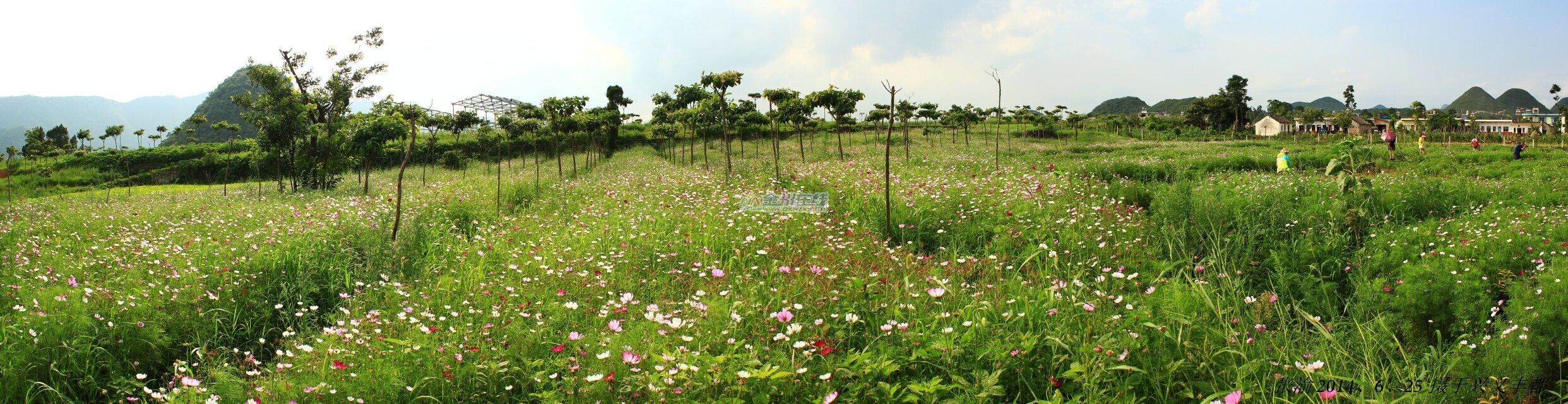 QQͼƬ20140626133137.jpg