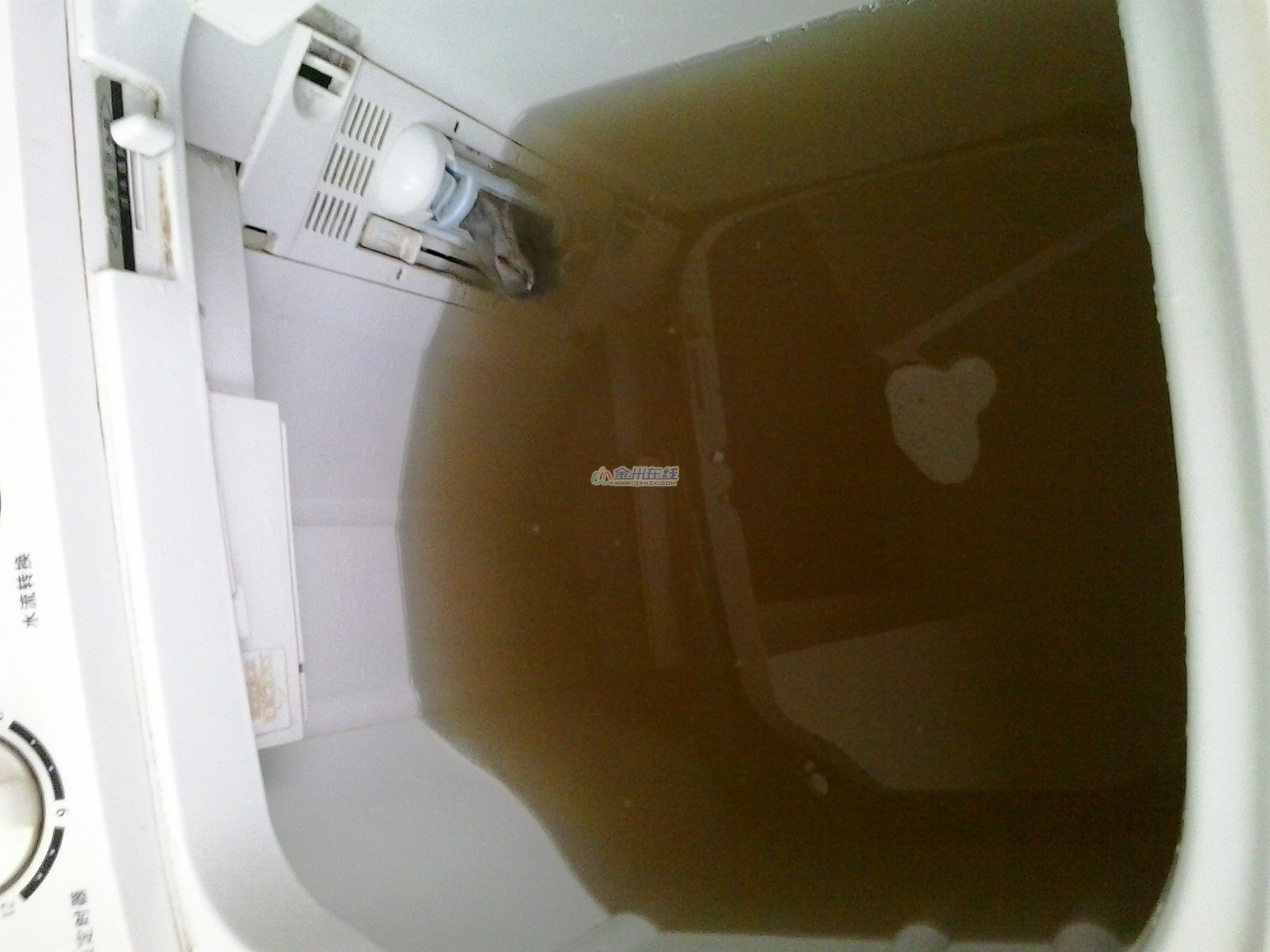 20140725_070323.jpg