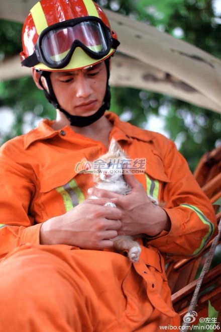 6a08dd2fjw1ej367k7vr5j21111jk7d1.jpg