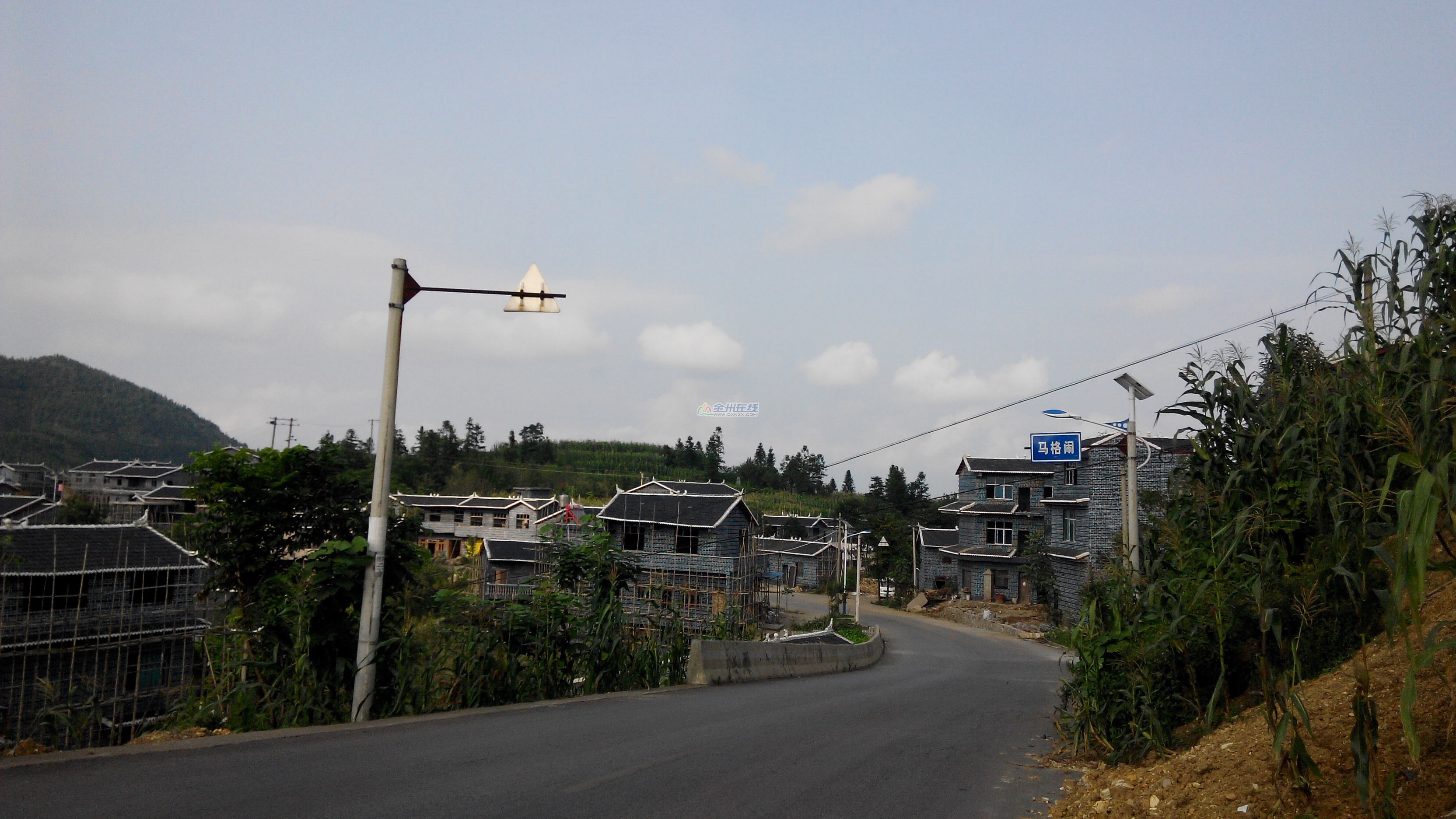 IMG_20140809_172414.jpg