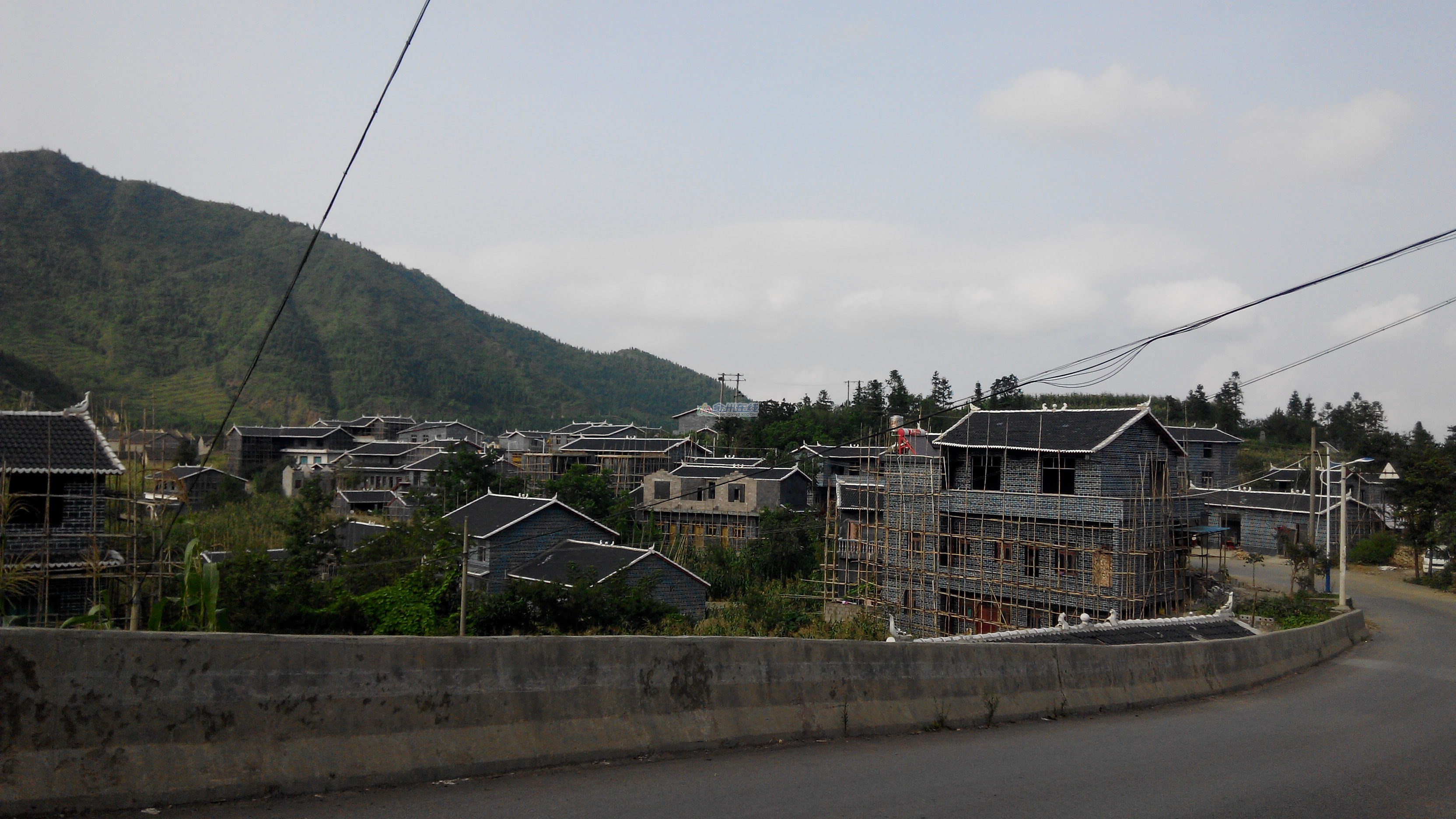 IMG_20140809_172452.jpg