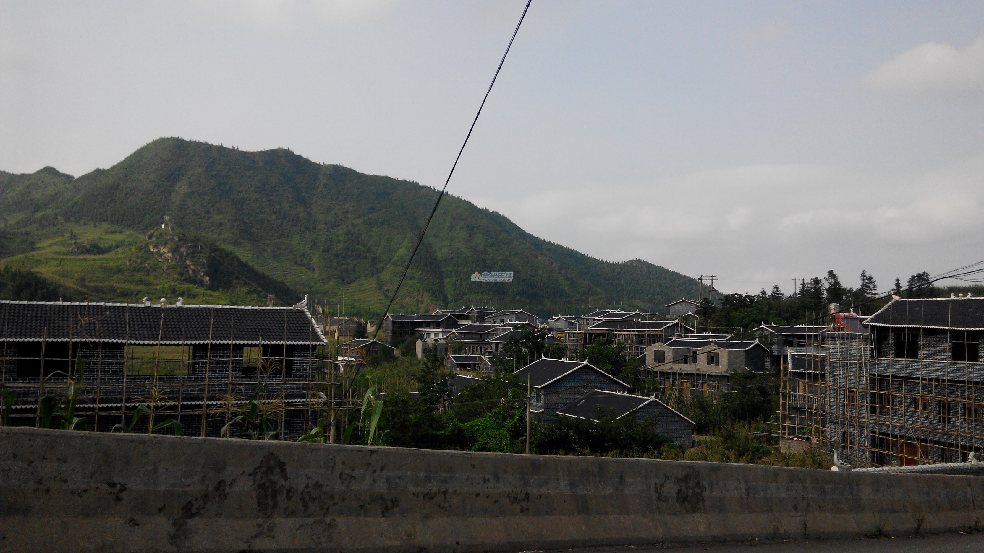 IMG_20140809_172459.jpg