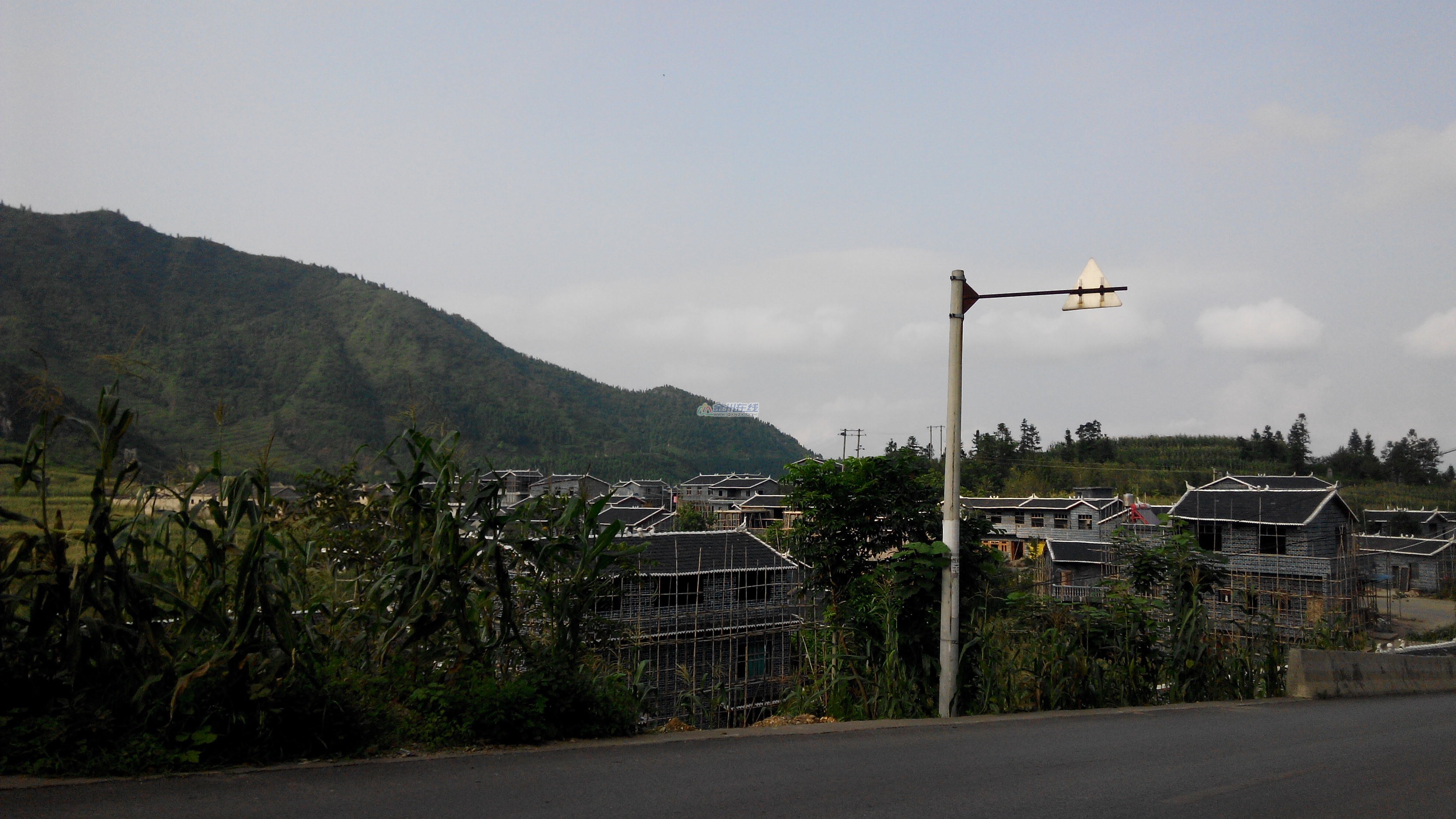 IMG_20140809_172418.jpg