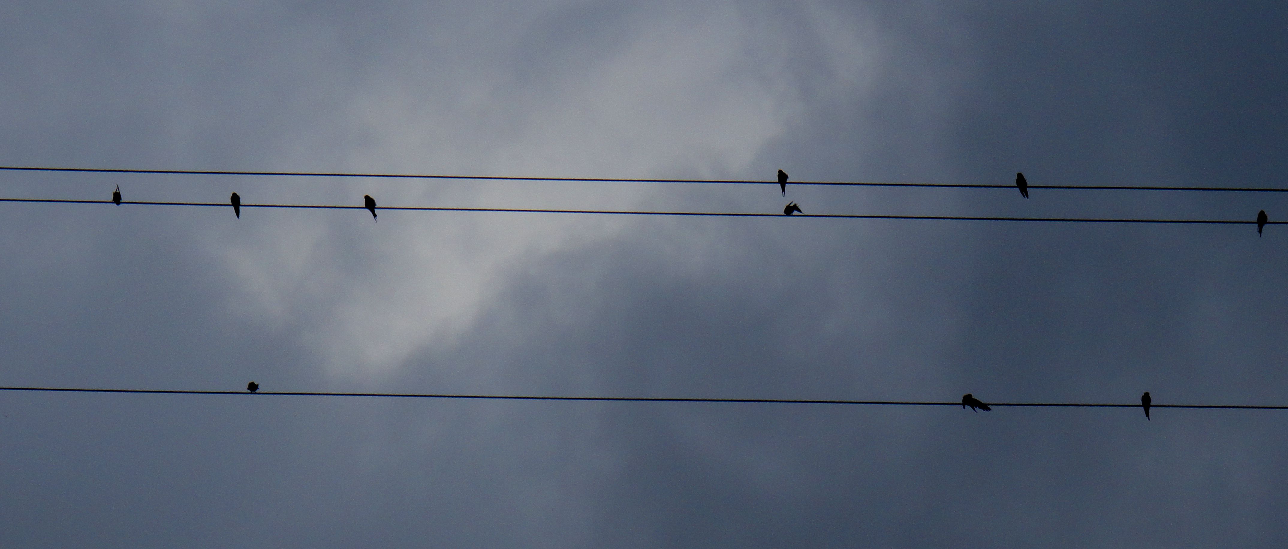 DSC04476.JPG