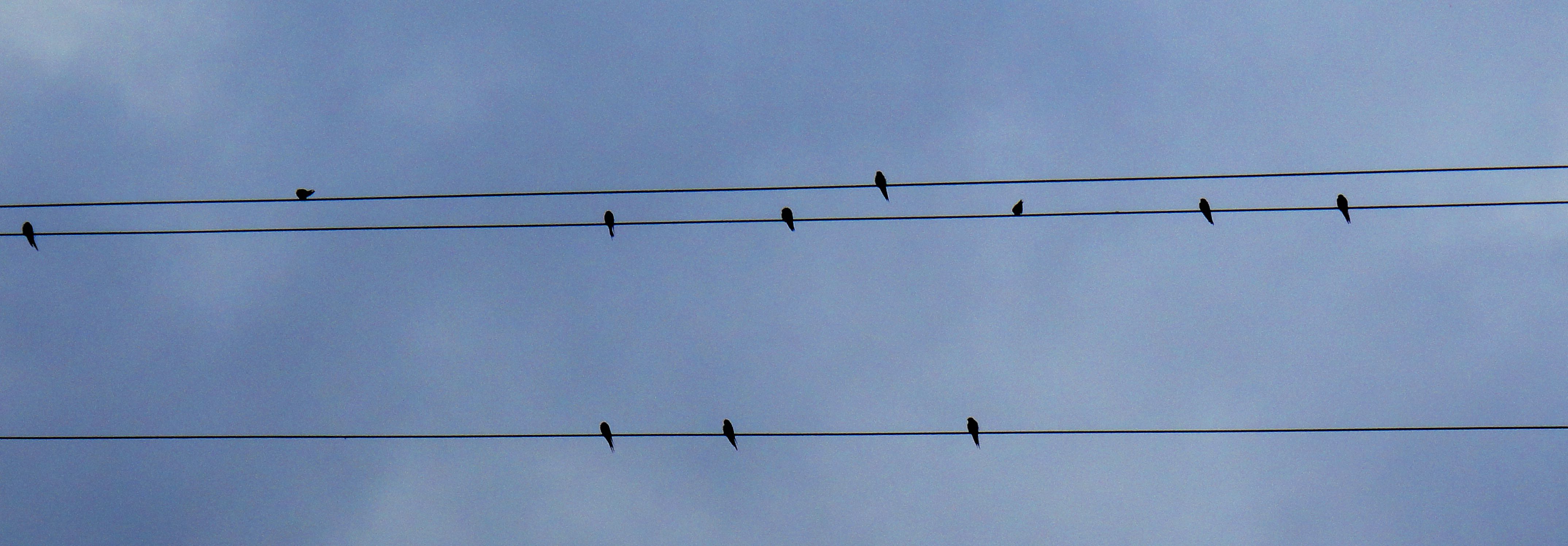 DSC04475.JPG