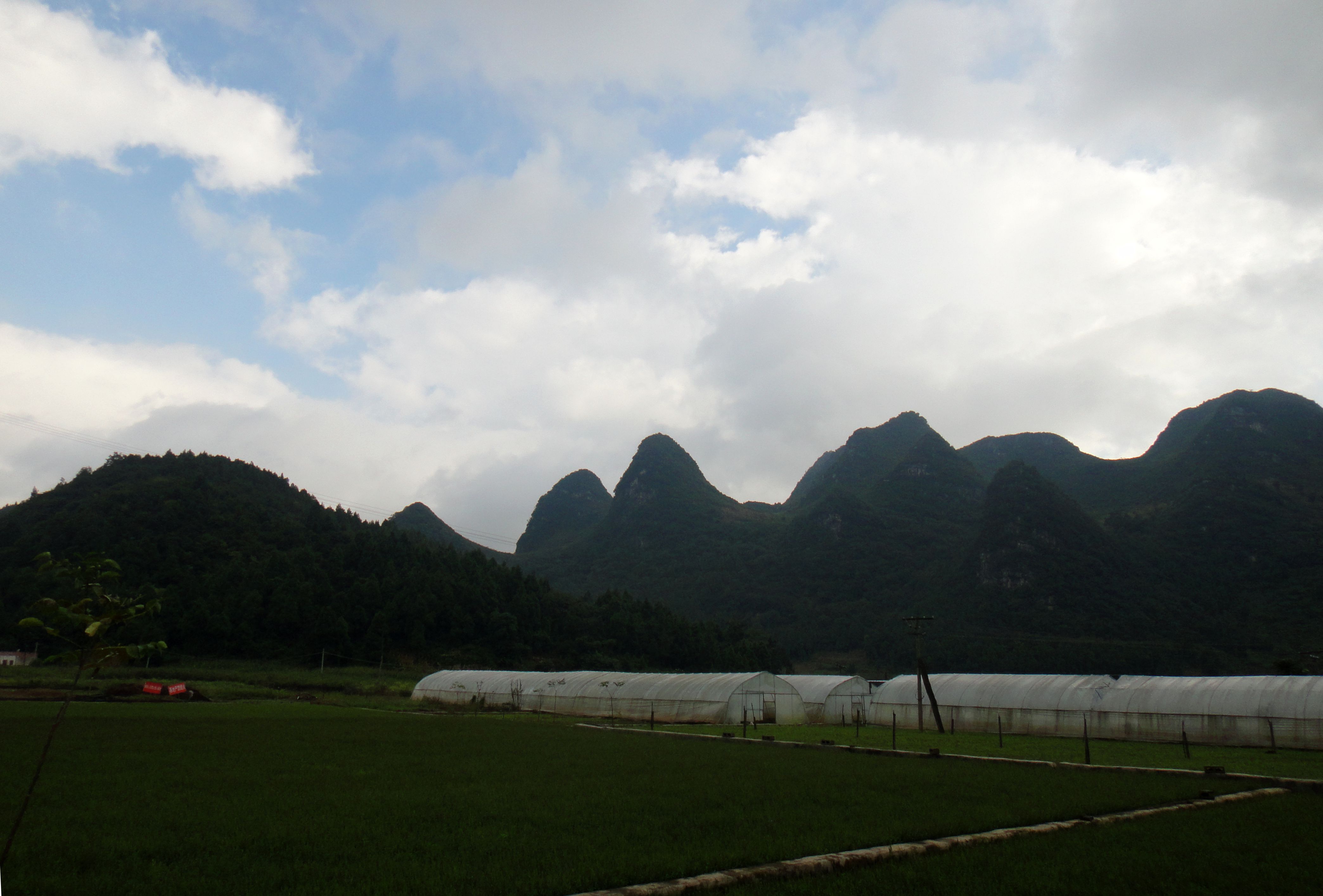 DSC04548.JPG