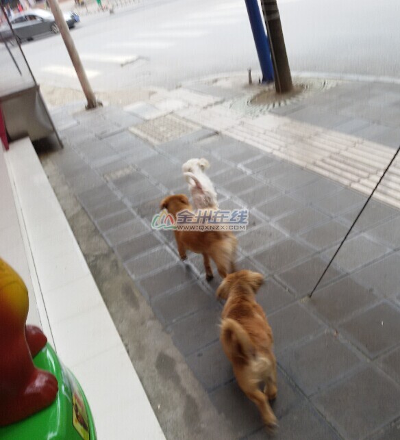 QQͼƬ20131101113351.jpg