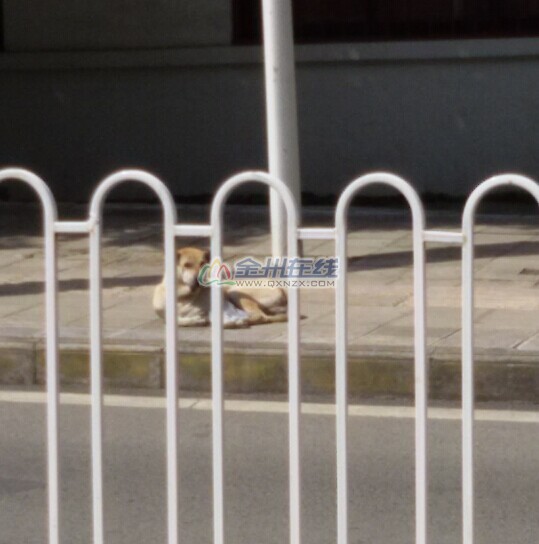 QQͼƬ20131101113151.jpg