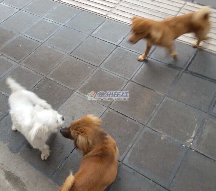 QQͼƬ20131101113417.jpg
