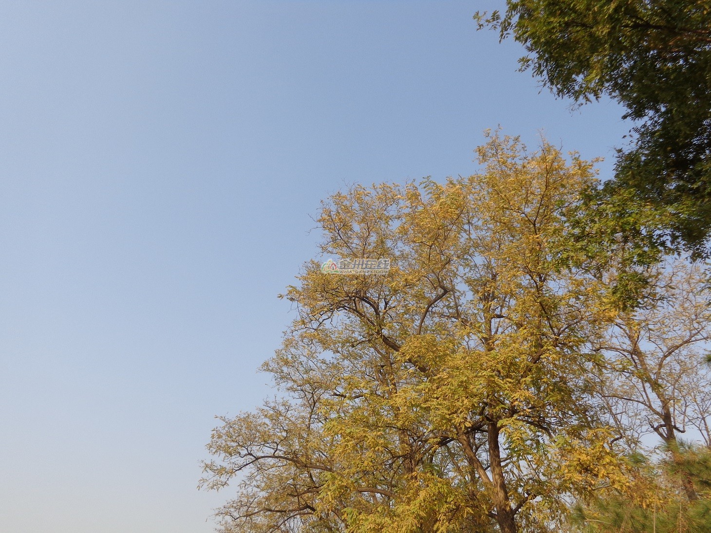 DSC00948.JPG
