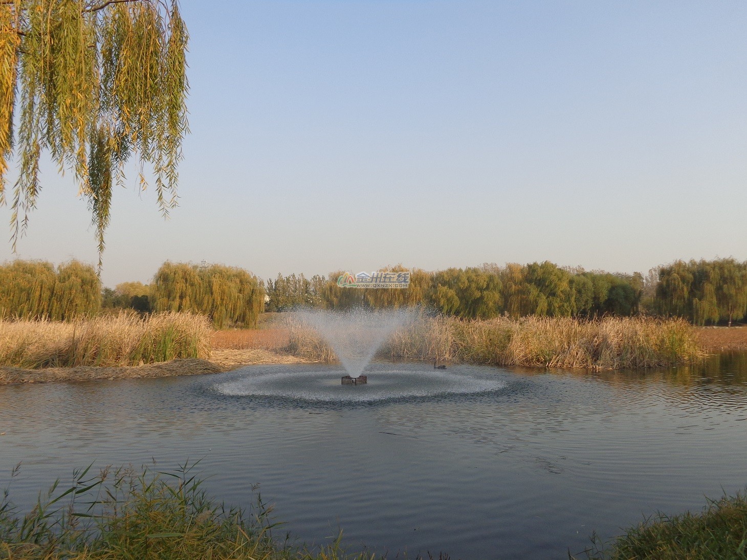 DSC00996.JPG
