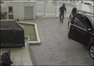 01.gif