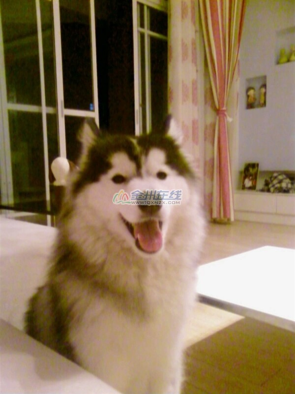 1259479180.jpeg