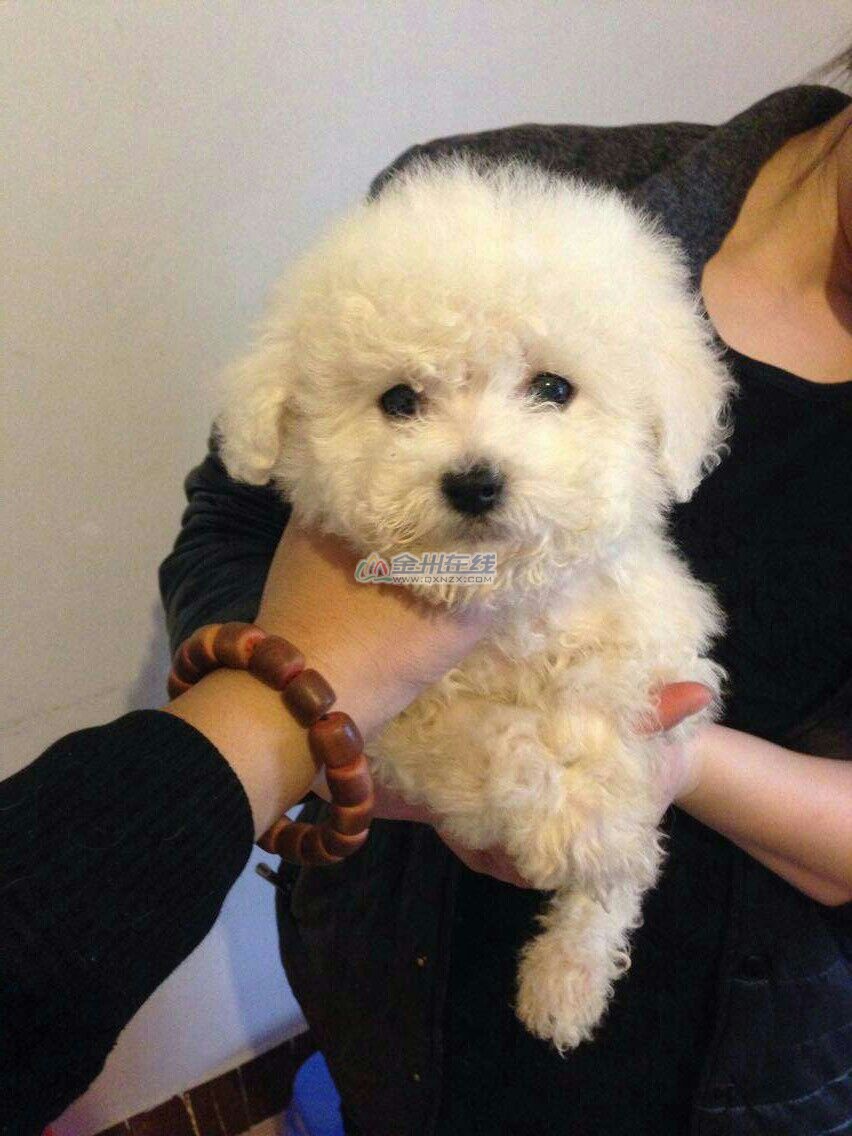 ܱ