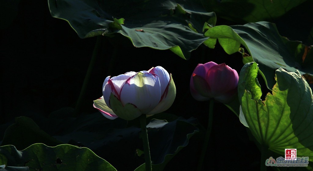 UB2A2399_a.jpg