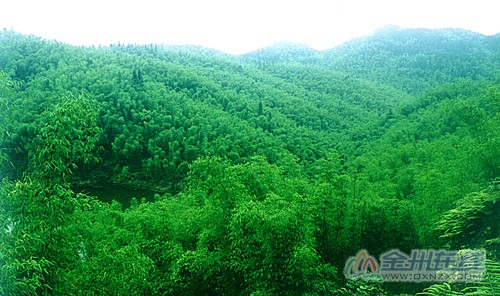 20080107111225576.jpg