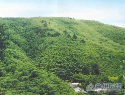 201179145231334.jpg