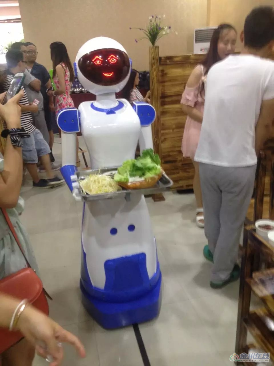 56495.jpg