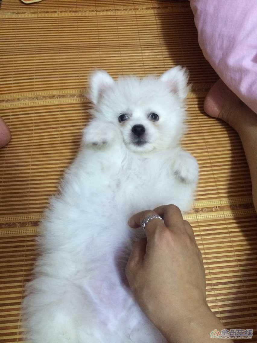 QQͼƬ2.jpg