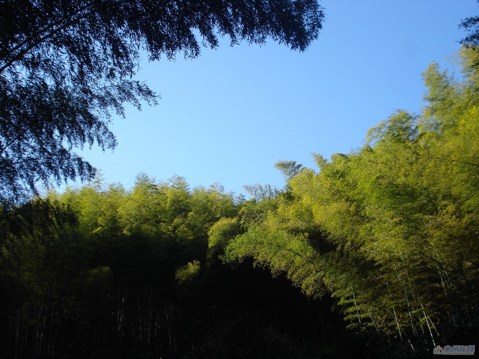 805cdaf355376a6ba93c54265863ef1c.jpg