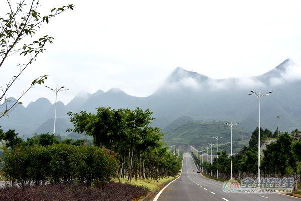 DSC_2983.JPG