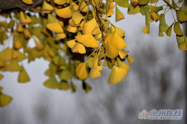 DSC_7301.JPG