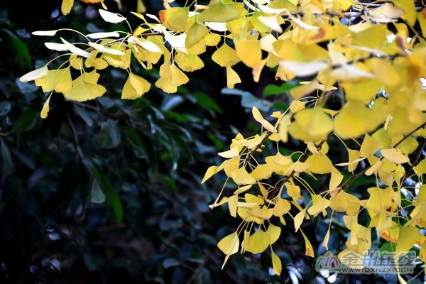DSC_7308.JPG