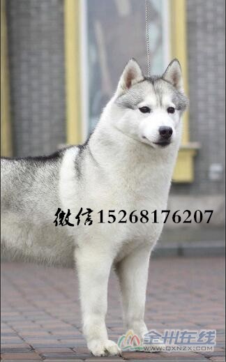 QQͼ20160709165315_.jpg
