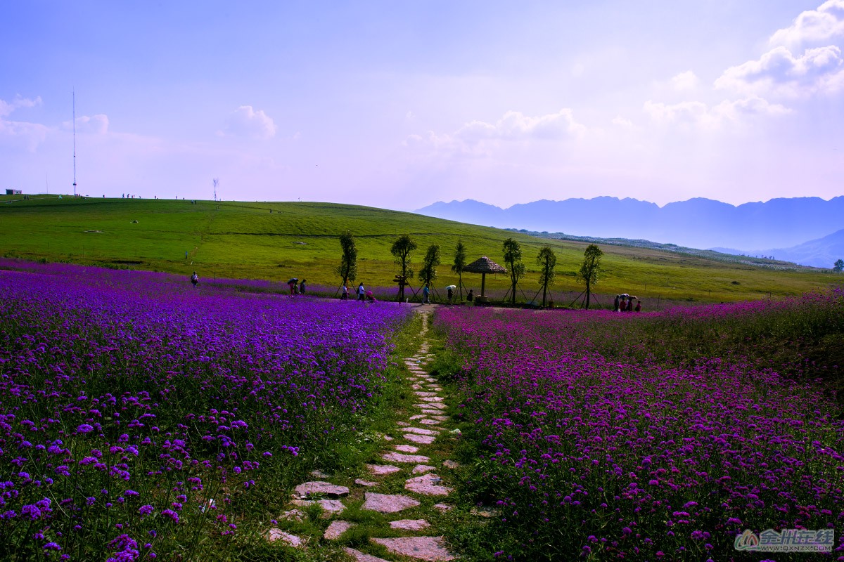 _V0A9062Ϊܶ-1.jpg