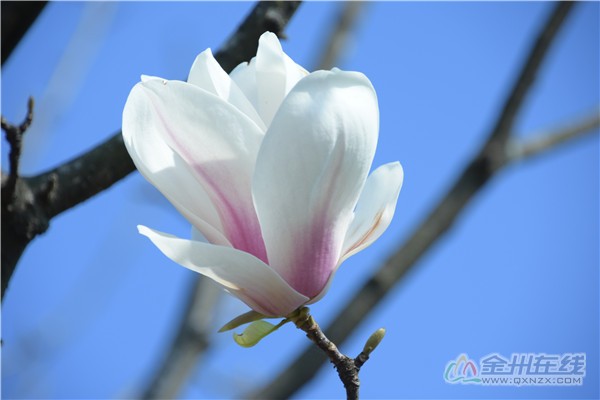 DSC_2184.JPG