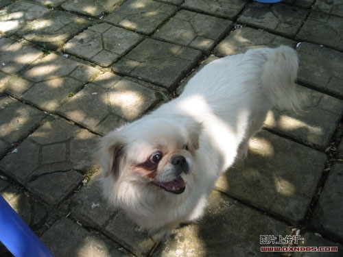 Ƭ 056.jpg
