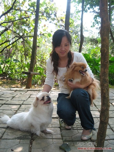 Ƭ 065.jpg