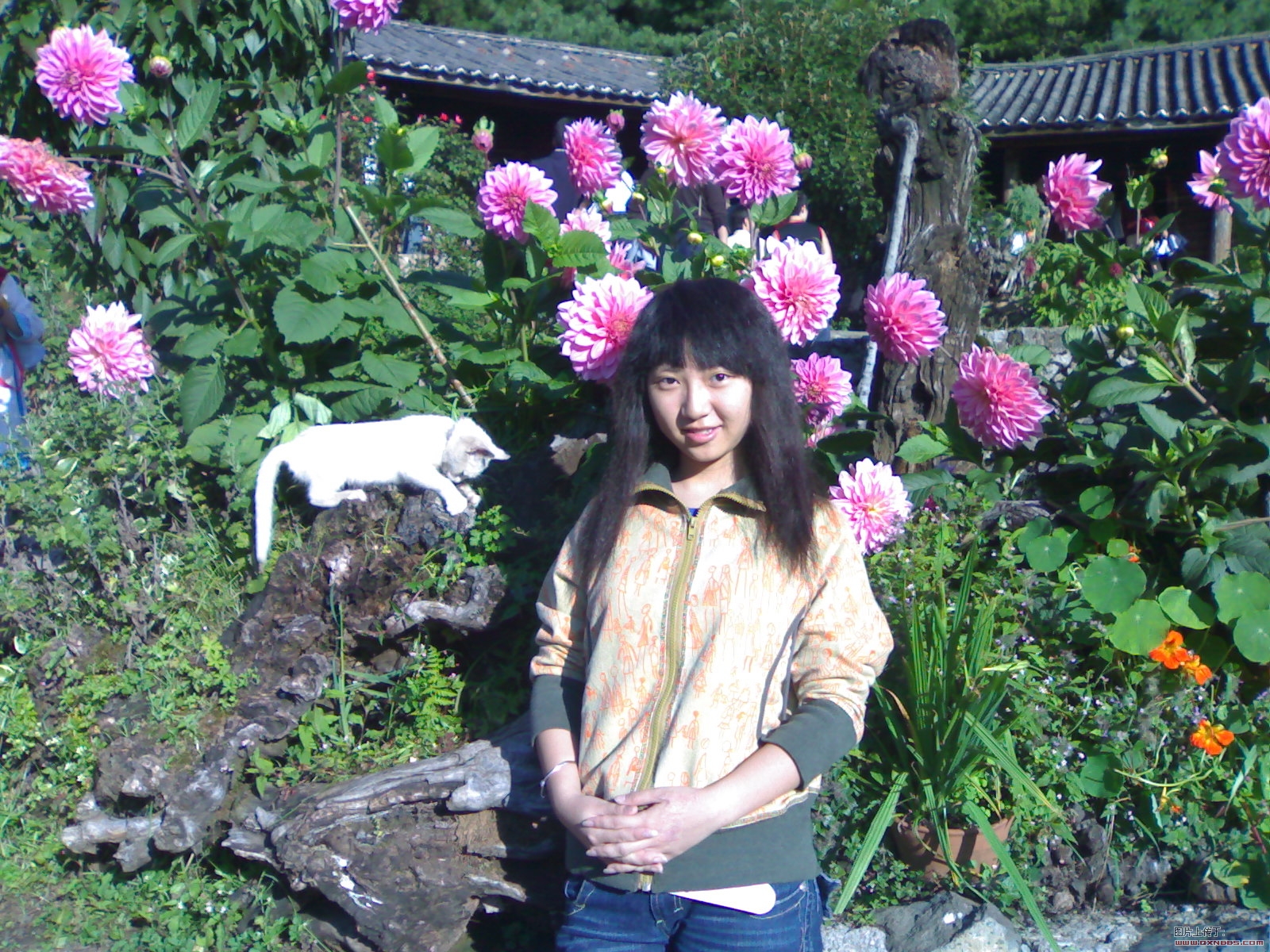 20060901581.jpg