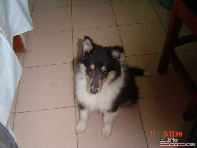 DSC00271.JPG