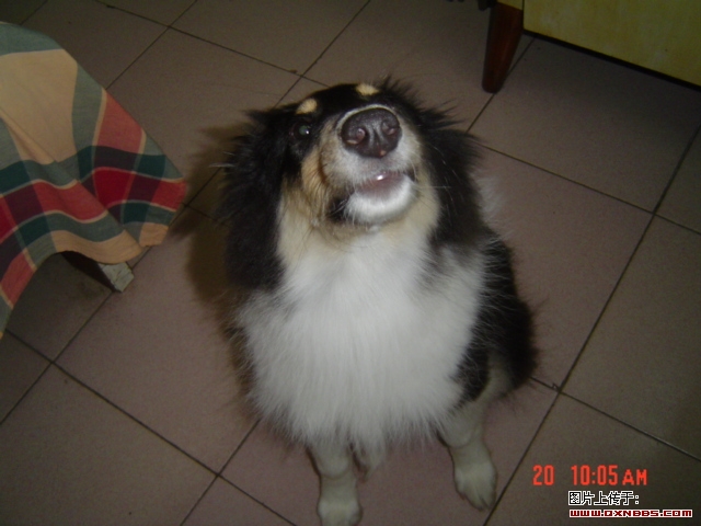 DSC00481.JPG