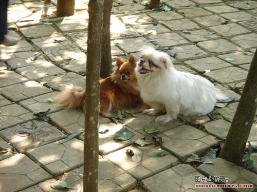 DSC00483.jpg
