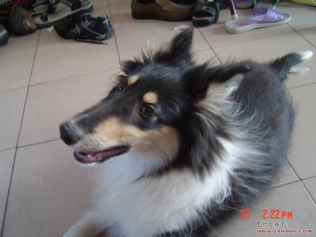 DSC00489.JPG