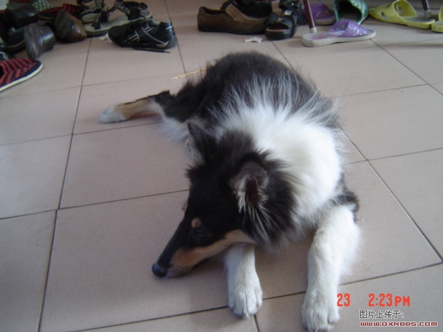 DSC00497.JPG