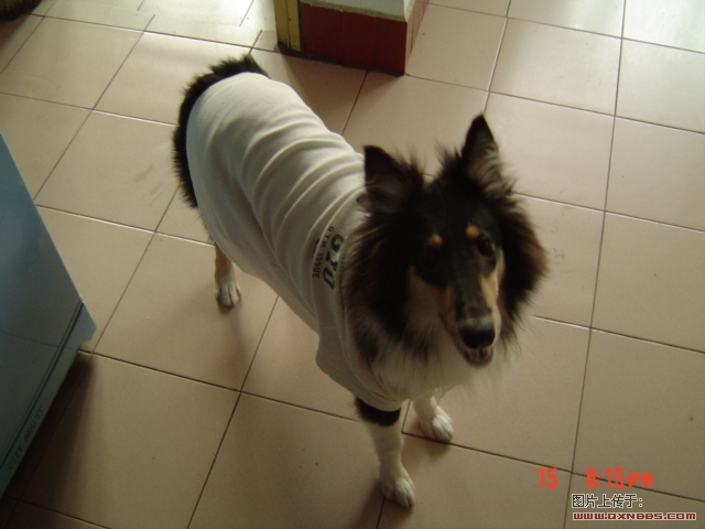 DSC00576.JPG