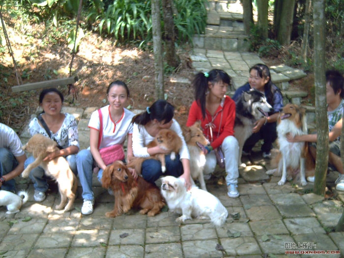 PICT0002.jpg